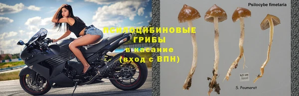 хмурый Волгодонск