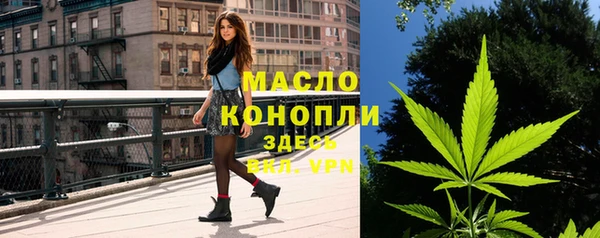 шишки Елабуга