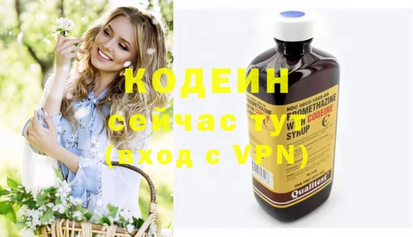 шишки Елабуга